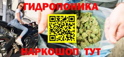 mdpv Бийск