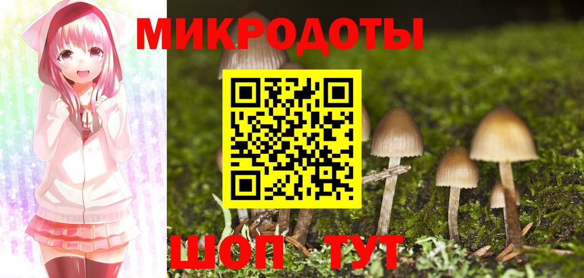 Заводоуковск  Псилоцибиновые грибы GOLDEN TEACHER  Вход с VPN  Псилоцибиновые грибы Psilocybine cubensis 